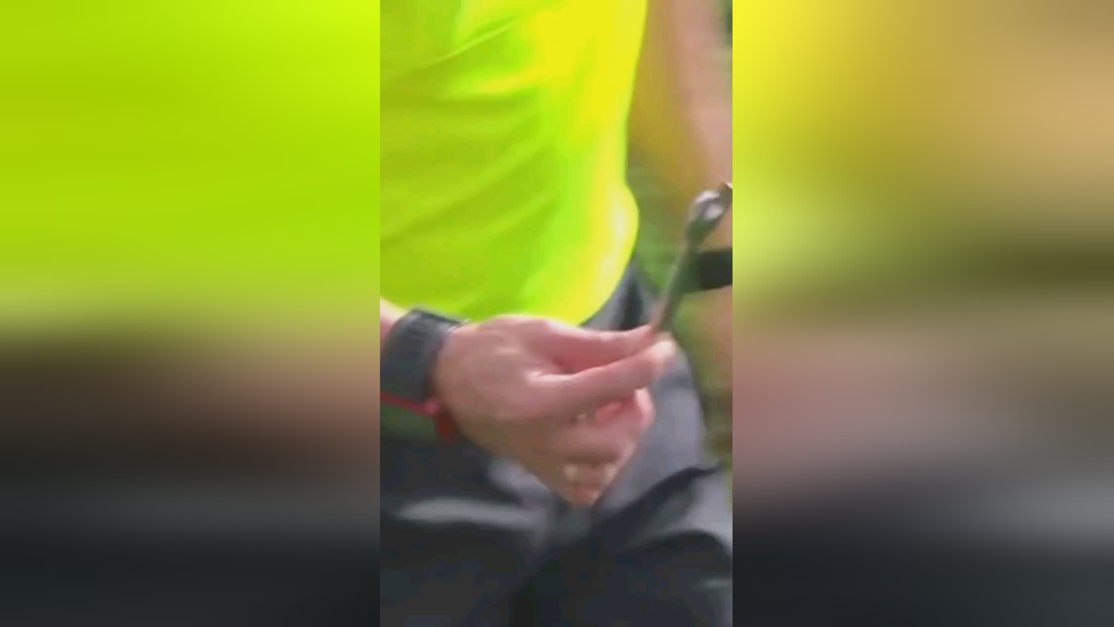 法尔克